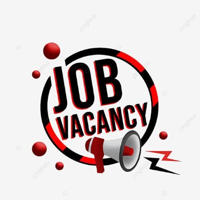 FRESHER BOYS NEED CALLBOY WORK JOIN US CALLBOY JOB 