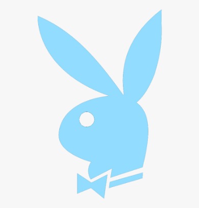 GENUINE PLAY BOY SERVICE AND JOBS AVAILABLE 